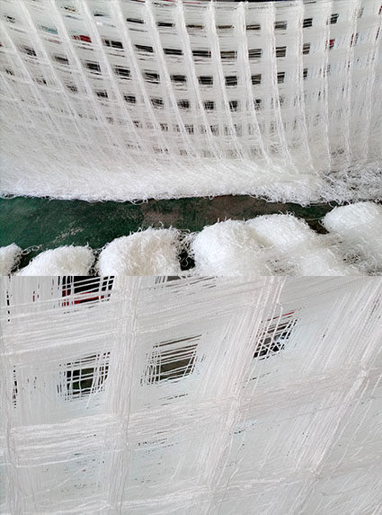 SHENZHEN SHENGLONG NETTING CO., LTD.
